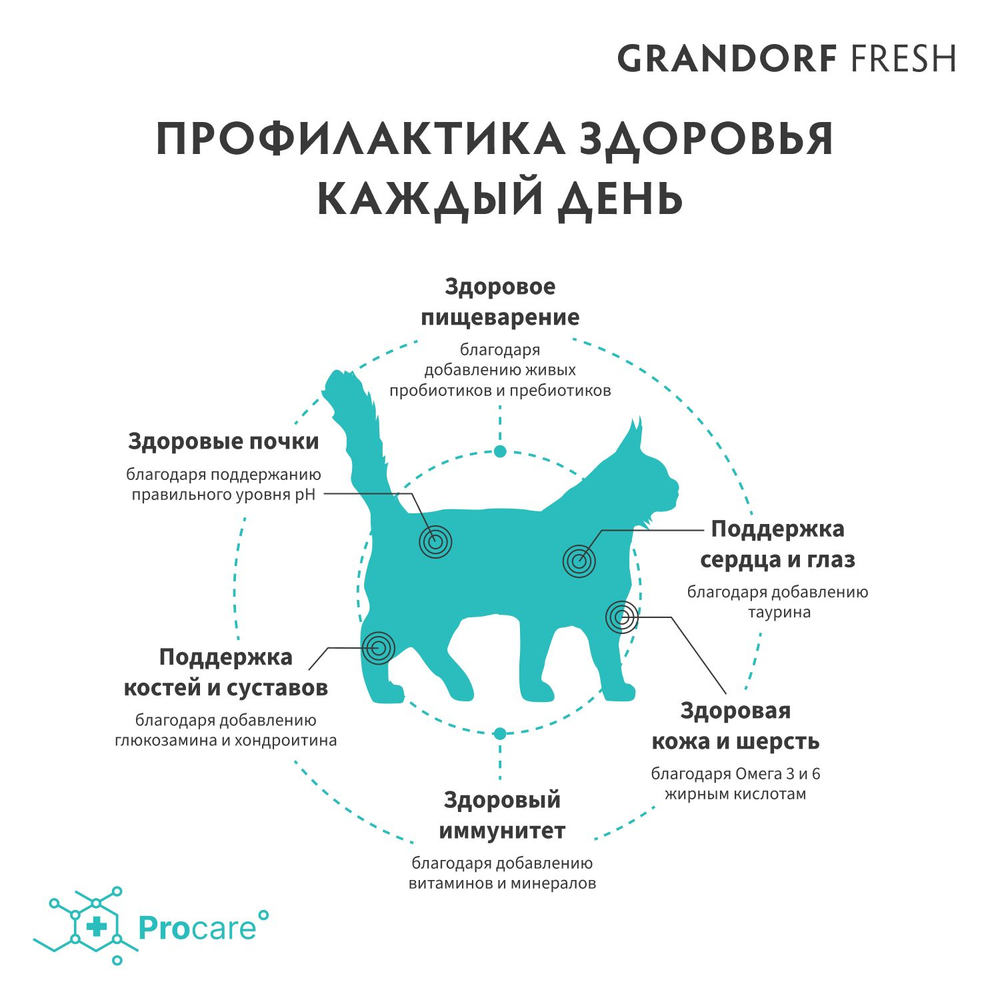 Сухой беззерновой корм GRANDORF Fresh LARGE для крупных кошек, ягненок с бататом 2 кг