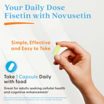 Doctor's Best, физетин с Novusetin, 100 мг, 30 вегетарианских капсул