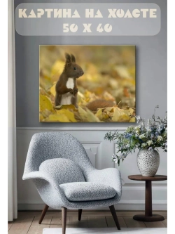 Картина на стену 40 X 50 Белка