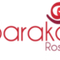 Baraka Roses