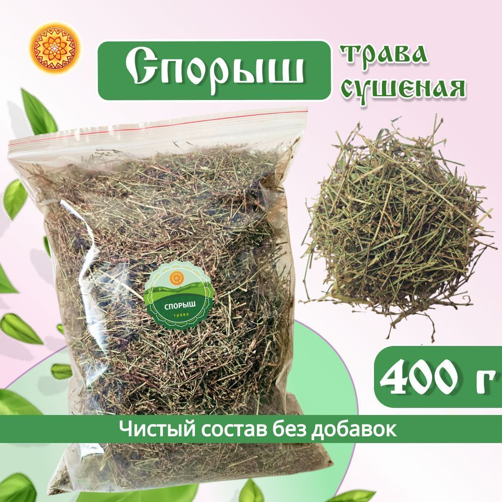 Спорыш трава сушеная.