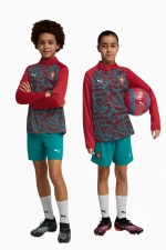 Кофта Puma Portugal 2026 Warm Up 1/4 Zip Junior - красный