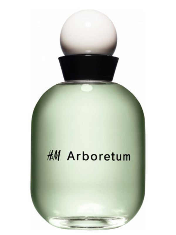 H and M Arboretum
