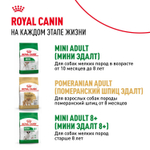 Royal Canin Mini Indoor Adult Мини Индор Эдалт Корм сухой для взрослых собак мелких пород в возрасте от 10 месяцев живущих в помещении 500г