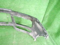 DSCN7806.JPG