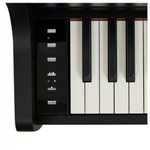 Casio AP-300