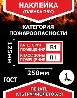 Знак наклейка Категории и класс зоны помещения В1/П1