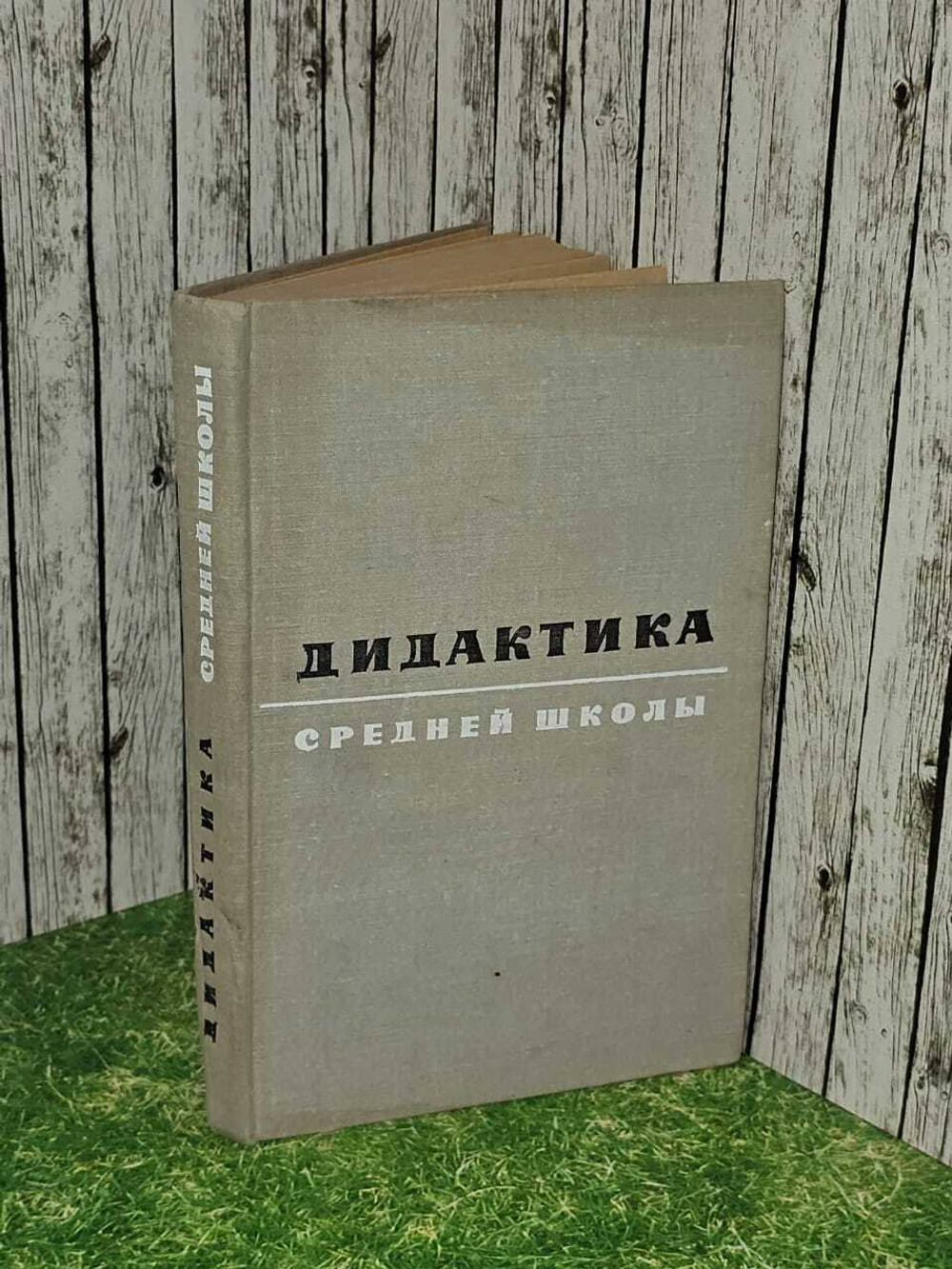 Дидактика средней школы. Некоторые проблемы совр. дидактики