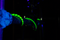 Cordial BLACKLIGHT EDITON 6 PP-G