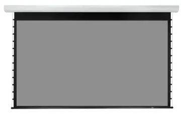LMBC-100305 Экран с электроприводом Lumien Master Business Control