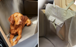 Покрывало для животных Zara Home