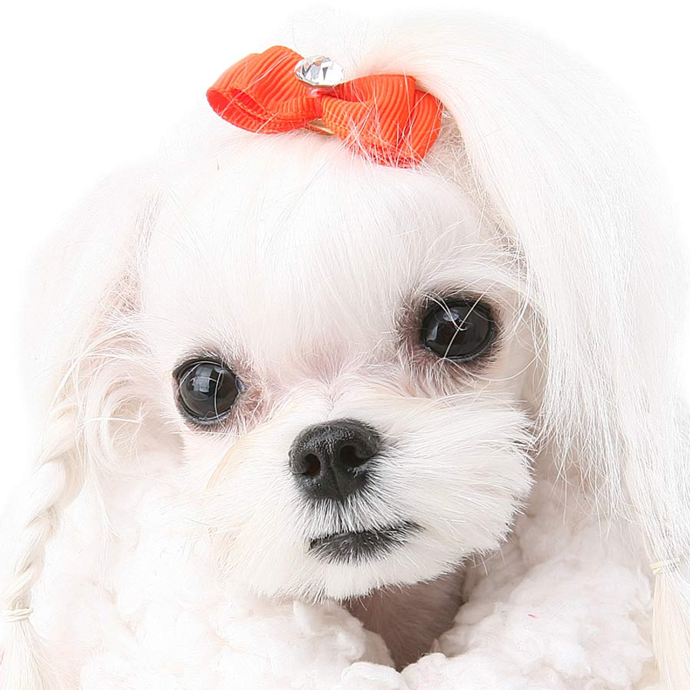 006 Заколка Puppy Angel