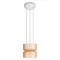 Подвесной светильник Totem 10466/2P Amber matte Loft It
