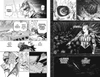 Моя геройская академия.  Книга 21. Наслоение. Я здесь!