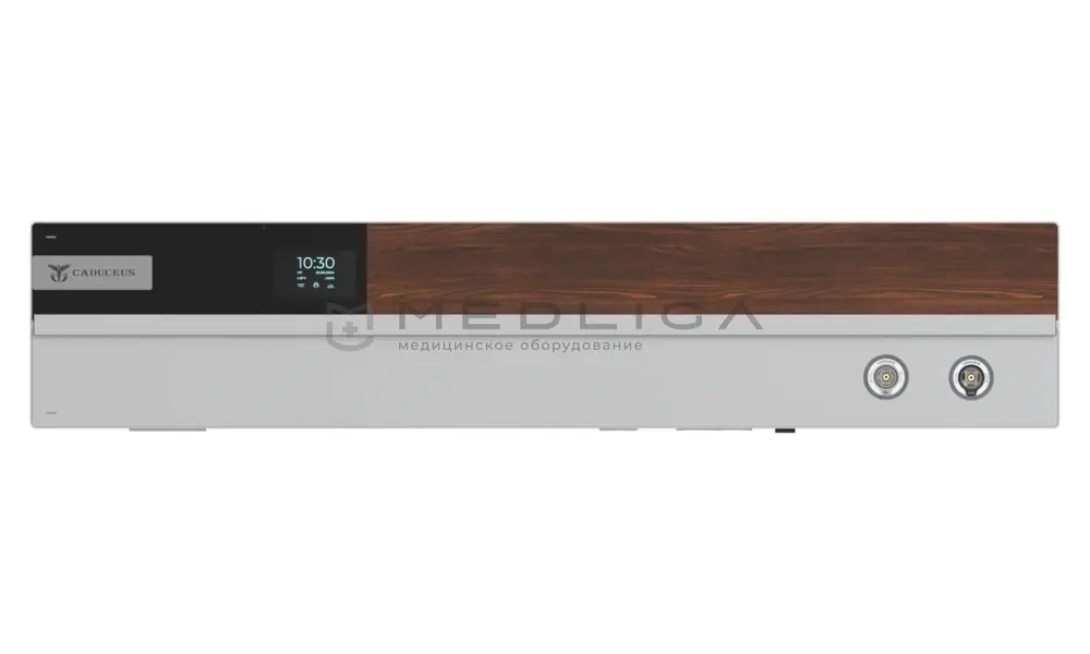 Настенная медицинская консоль CADUCEUS CN3-2(FUTURA)