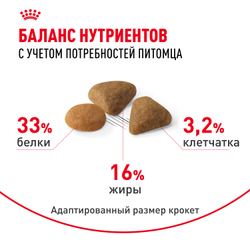 Royal Canin Savour Exigent Корм сухой сбалансированный для привередливых взрослых кошек от 1 года - 2 кг