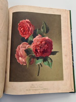 "Nestel`s Rosengarten. [  Сад роз Нестела]". E. Schweizerbartsche Verlagshandlung. 1869г.