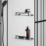 Душевая кабина Niagara Standart ST100/15QL/KL/BKT (100х100х225) низкий поддон(15см),черный,стекло прозрачное,3 места