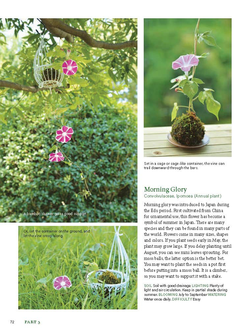 Moss Ball Bonsai: 100 Simple Kokedama Gardens That Are Easy and Fun to Make
