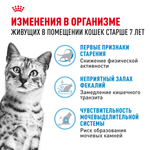 Royal Canin Indoor 7+ Индор Корм сухой сбалансированный для стареющих кошек в возрасте от 7 до 12 лет живущих в помещении 3,5кг