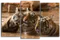 Модульная картина "Полосатое трио"