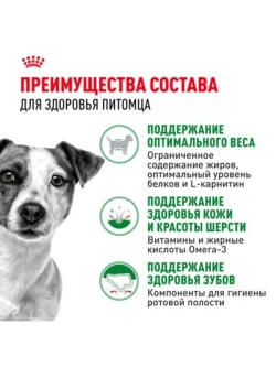 MINI Adult Корм для собак мелких пород 4кг