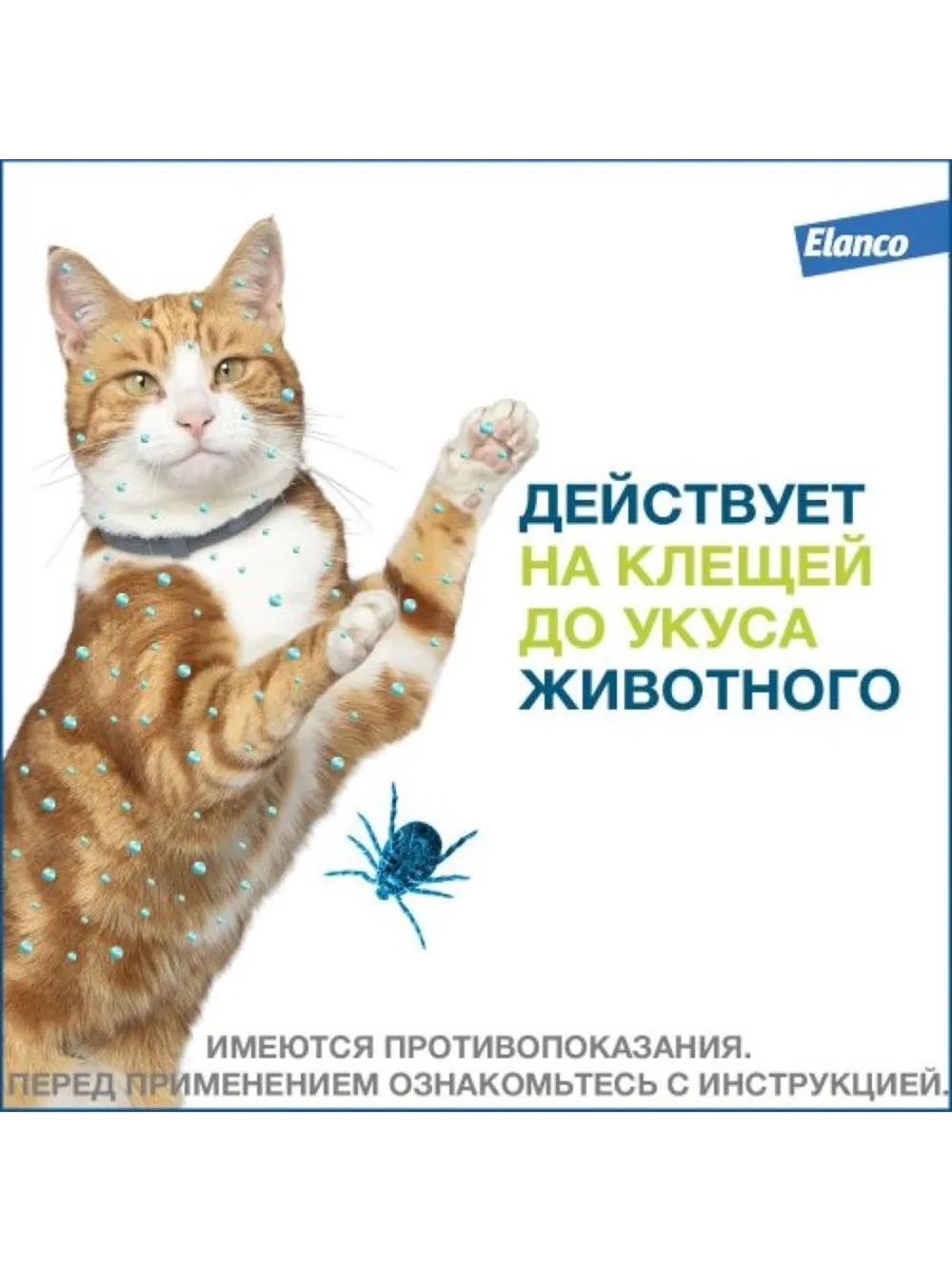 ФОРЕСТО Ошейник для кошек от блох и клещей