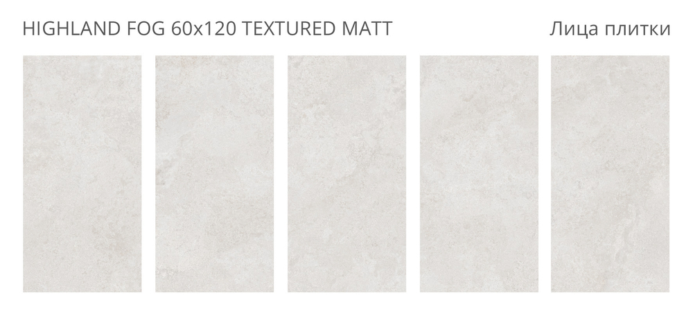HIGHLAND FOG 60x120 TEXTURED MATT