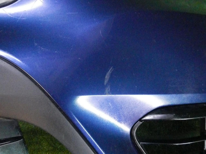 DSCN7685.jpg