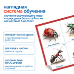 Модуль "Птицы, рыбы, насекомые России" Learning Resources MS0102/4