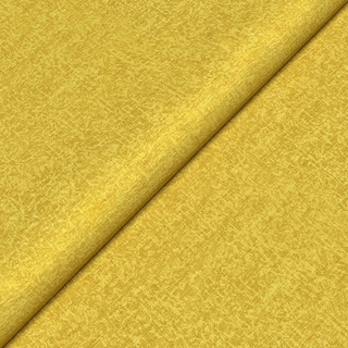 Шенилл Тэсс 08