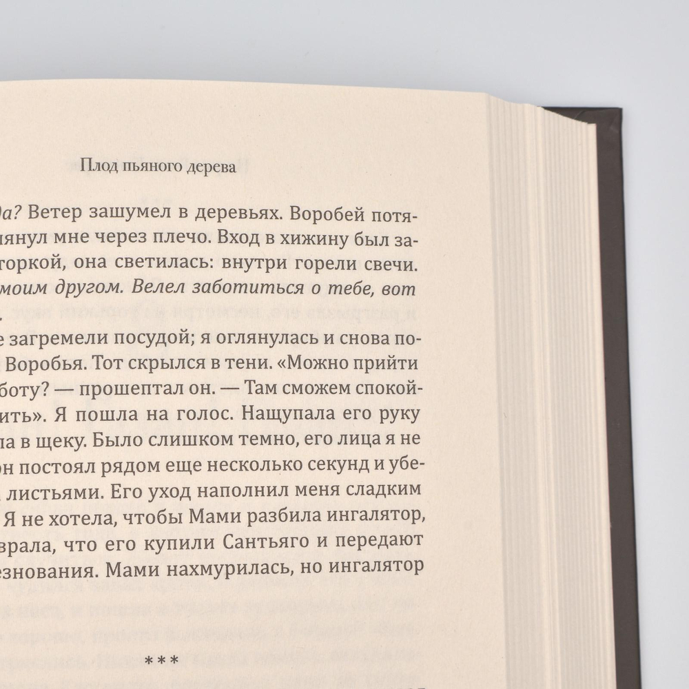 Плод пьяного дерева | Контрерас Рохас