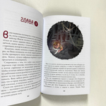 Восьмирье. Дно мира. Книга четвёртая