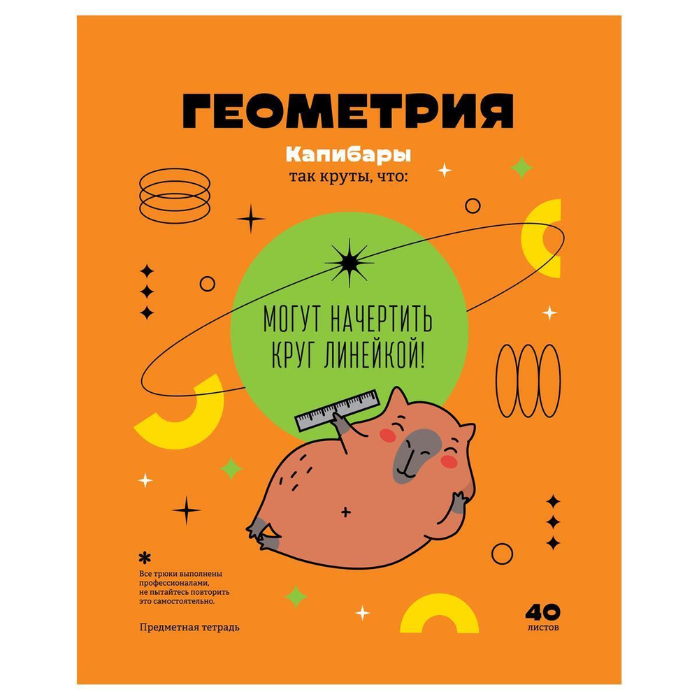 Тетрадь предметная 40л. Геометрия "Записки школьника" (BG)
