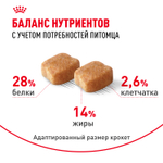 Royal Canin Dashshund Adult Такса Эдалт Корм сухой для взрослых собак породы Такса от 10 месяцев 7,5кг