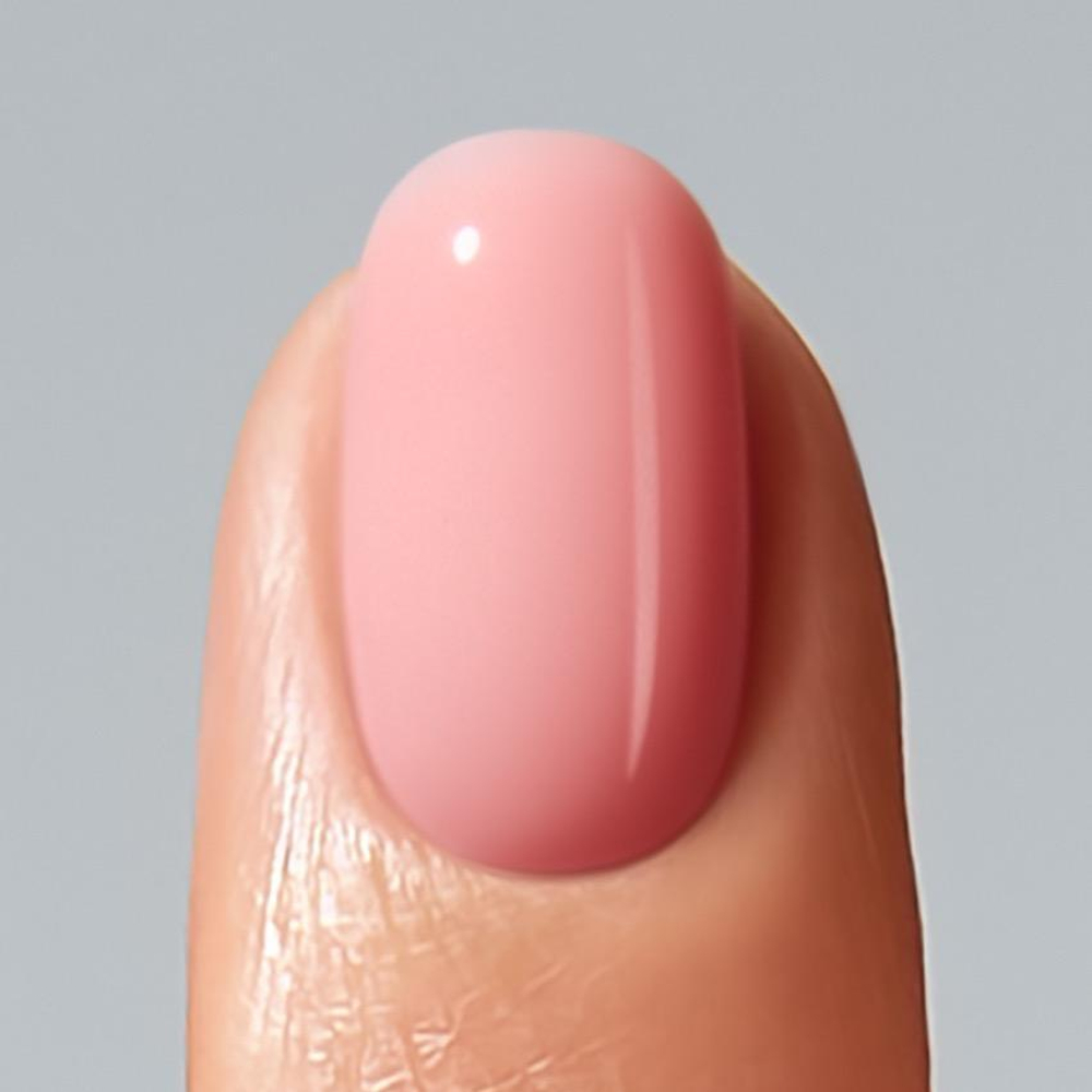 Color Gel Disguise Collection B