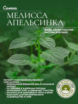 Мелисса Лекарственная, Жемчужина, Семена 0,1 гр.
