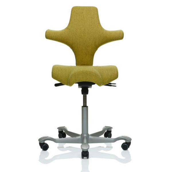 Capisco 8106