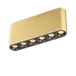 Потолочный светодиодный светильник Odeon Light SMALL 7093/15CL