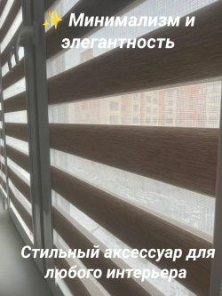Рулонные шторы День-Ночь 55х110 см