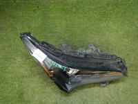 DSCN5511.jpg