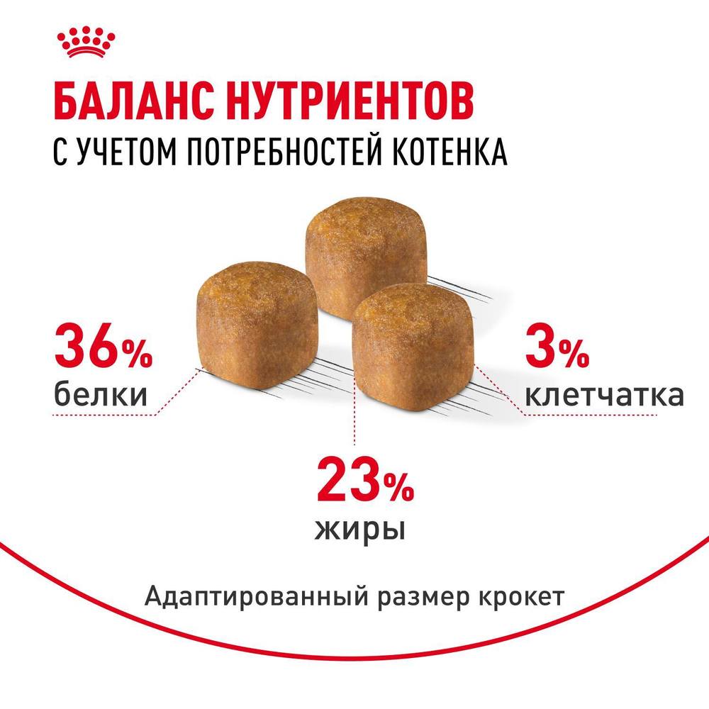 Royal Canin Maine Coon Kitten Киттен Мейн Кун Корм сухой для котят породы Мэйн Кун в возрасте от 4 до 15 месяцев 10кг
