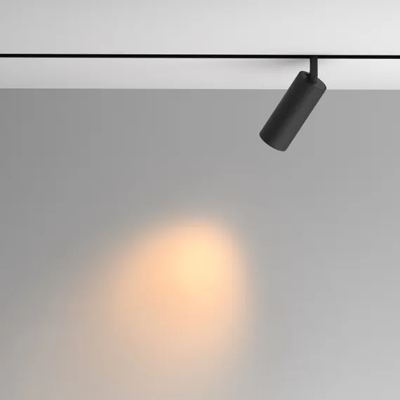 Трековый светильник Artisan TR097-2-12W2.7K-M-BB Maytoni