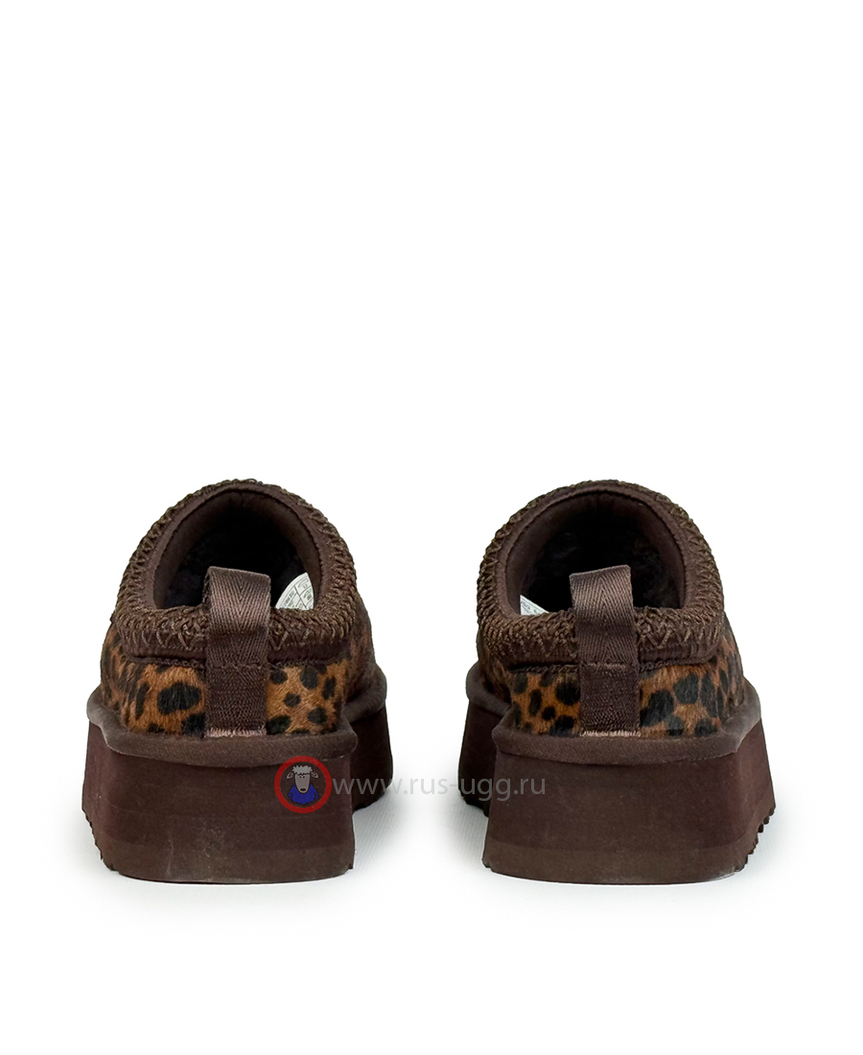 TAZZ Caspian Burnt Cedar