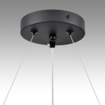 Подвесная люстра Lumion LUAZANA 8242/6