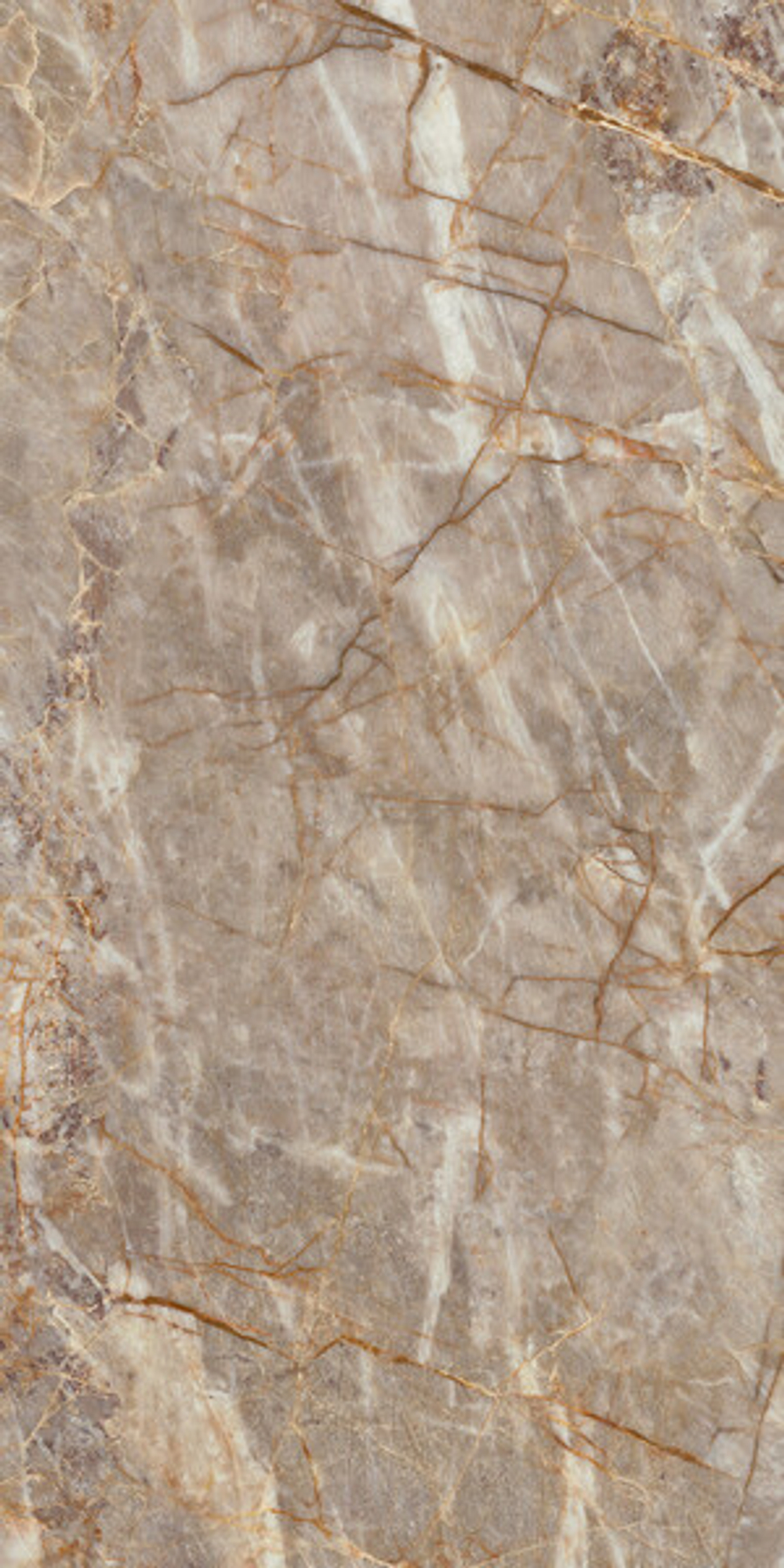Керамогранит ATLAS CONCORDE MARVEL EPIC Natural Roots 60x120 Lapp. Глянц. 9мм HEIK