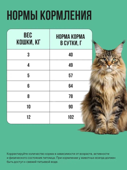 Сухой корм Bowl Wow для стерилизованных кошек, с индейкой, курицей и шпинатом - 0,4 кг