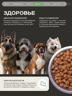 Корм сухой для взрослых собак породы Кане-корсо, с ягненком, 12 кг, QUATTRO