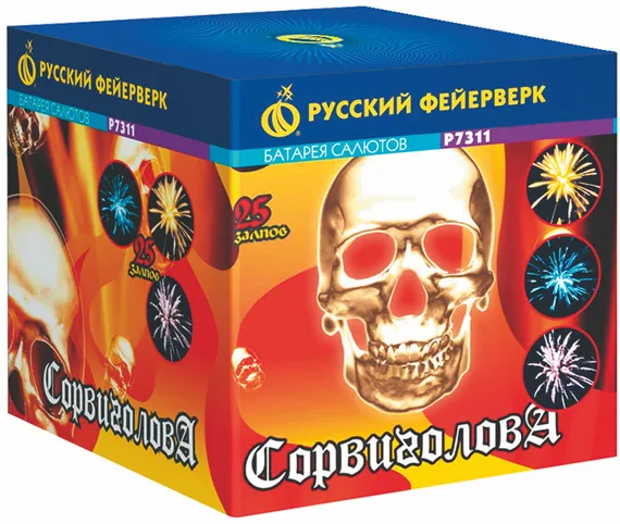 P7311