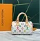 Сумка LOUIS VUITTON х TM Speedy 25
